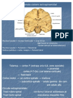 Parkinson Neuro
