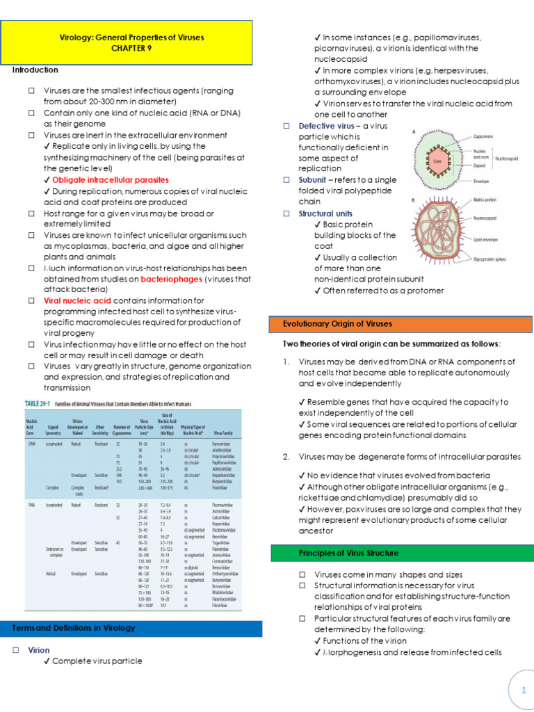 General Properties of Viruses Explained | PDF | Virus | Rna