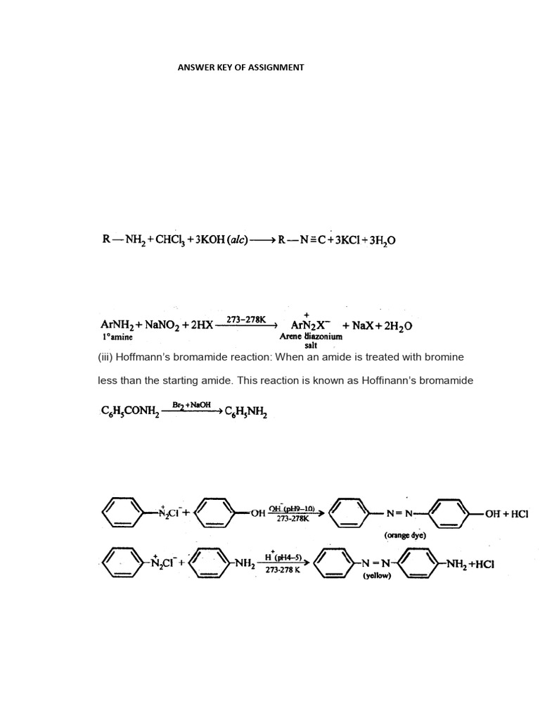 Assignment Answer Key on Amines | PDF