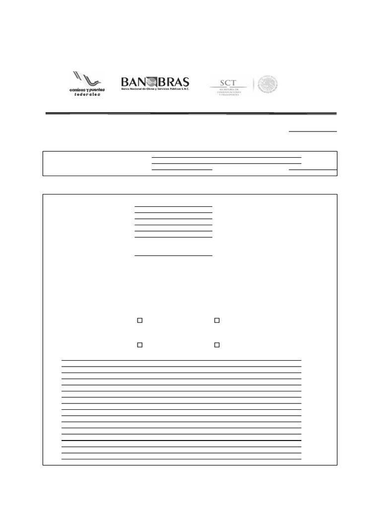 Inspección Visual de Puentes SIAP 2 | PDF