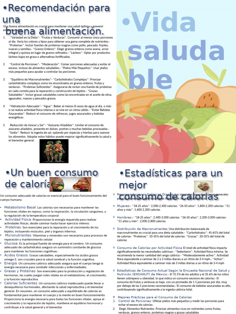 Vida Saludable Roger | PDF | Alimentos | Nutrientes