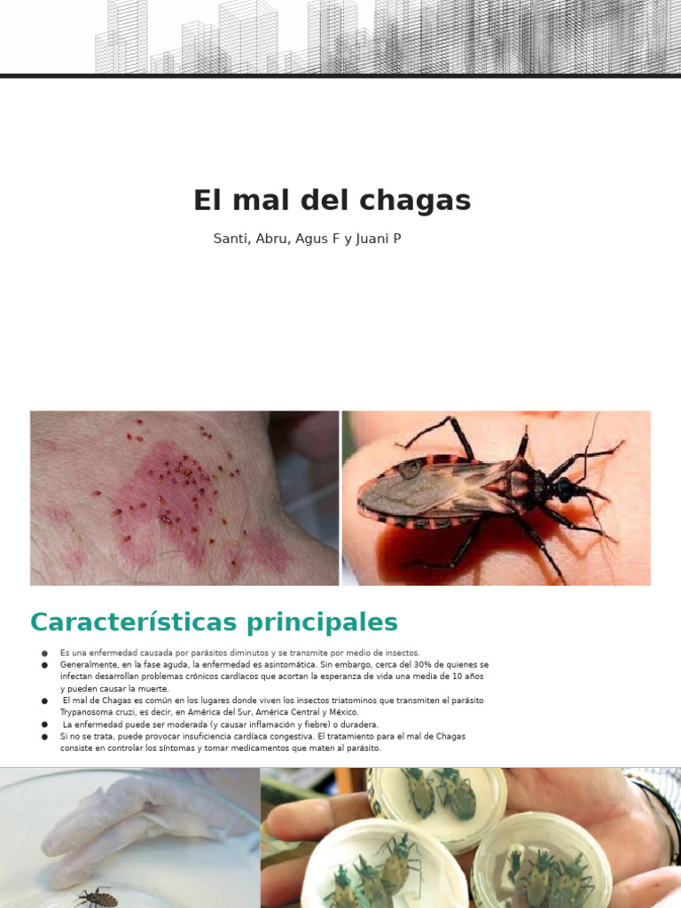Contagio del mal de Chagas en humanos | PDF | Enfermedades animales ...