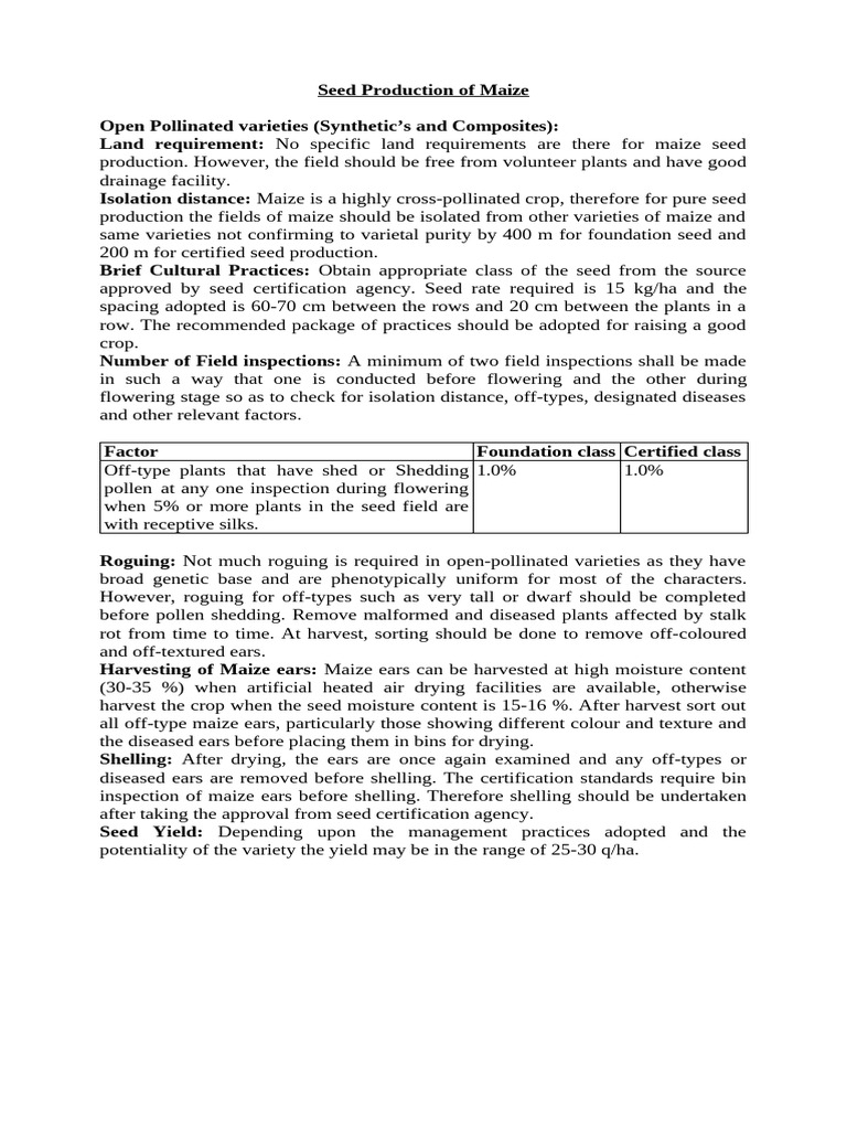 Seed Production of Maize | PDF | Maize | Pollination