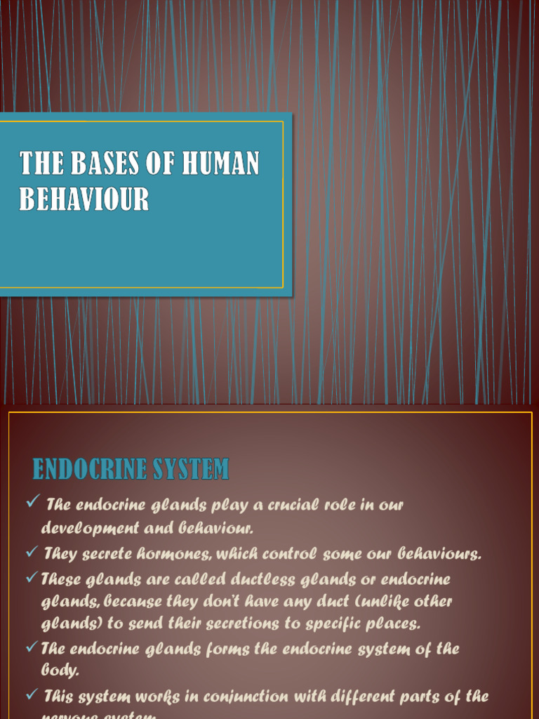 The Bases of Human Behaviour New | PDF | Endocrine System | Pituitary Gland