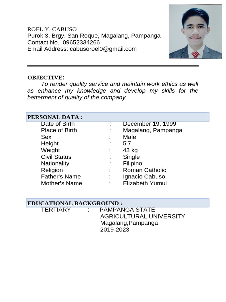 Roel Y. Cabuso Resume Overview | PDF