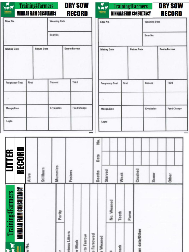 complete-pig-record-keeping-system-templates-pdf