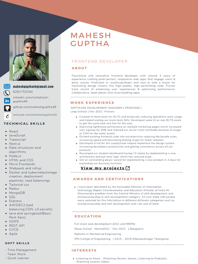 Frontend Developer Profile | PDF | Web Development | Computing