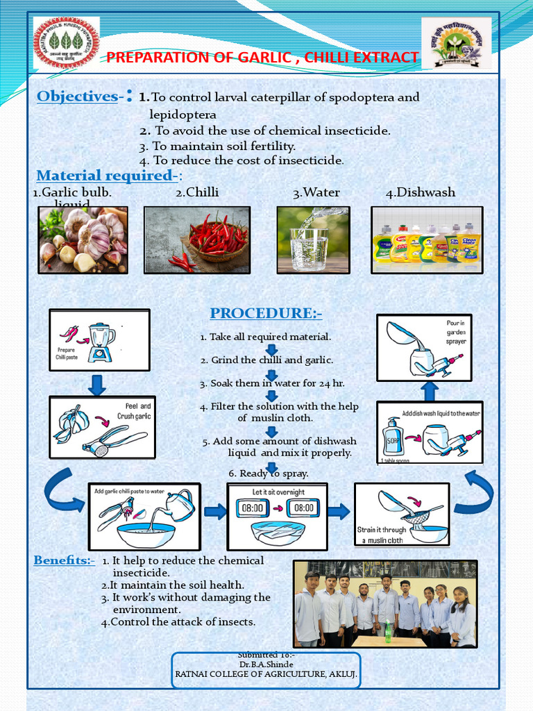 Natural Garlic and Chilli Insecticide | PDF