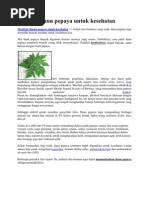 Download Manfaat Daun Pepaya Untuk Kesehatan by Aguss Muslimm SN80772918 doc pdf