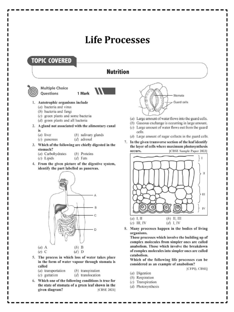 It Notes Class 10 Part B