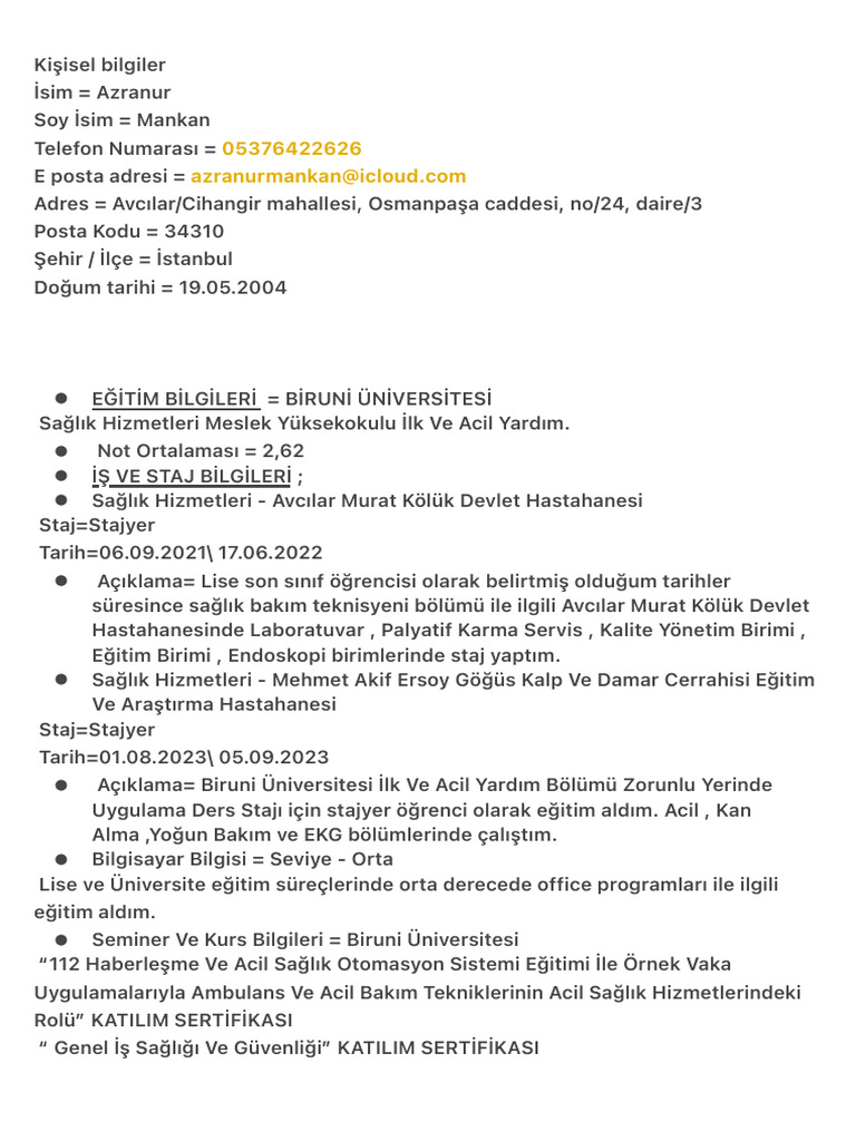 Azranur Mankan CV | PDF