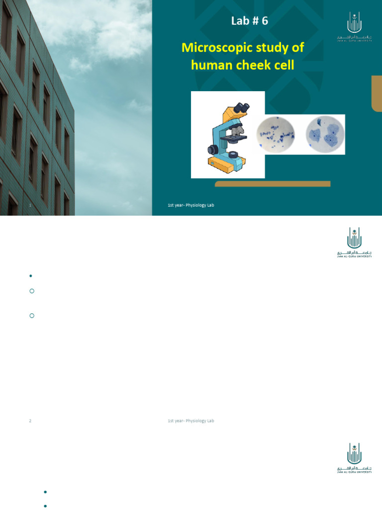 Human Cheek Cell Microscopy Lab Guide | PDF | Epithelium | Tissue (Biology)