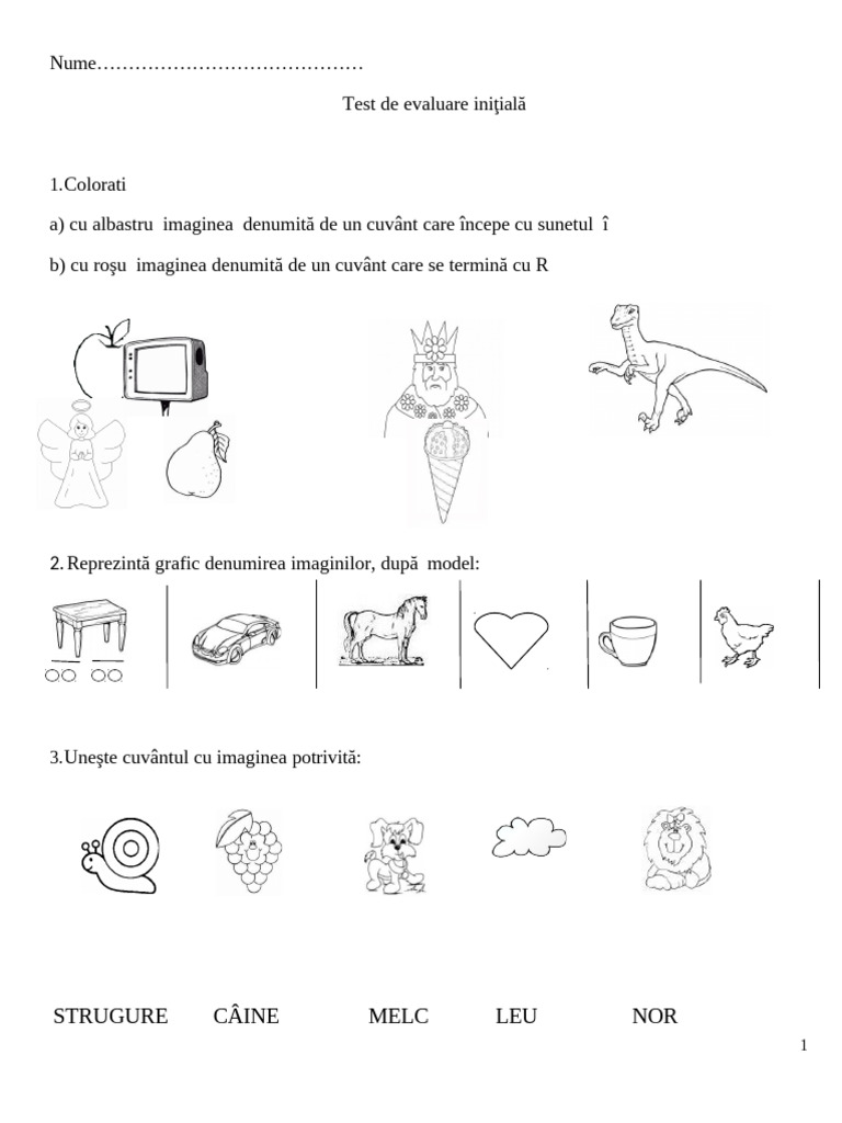Test Evaluare Initiala CLR Clasa 1 | PDF
