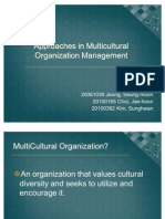 Approaches in Multi-Cultural Organization Management