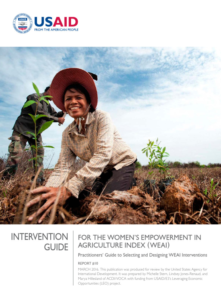 WEAI Intervention Guide for Practitioners | PDF