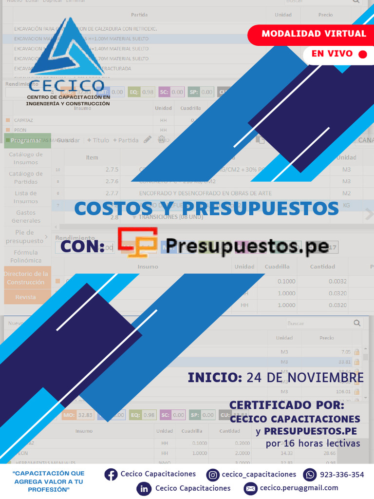 Brochure Costos y Presupuestos 241124 | PDF | Presupuesto | Informática