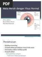 Download Mata Merah Dengan Visus Normal by Shasha Shakinah SN80780119 doc pdf