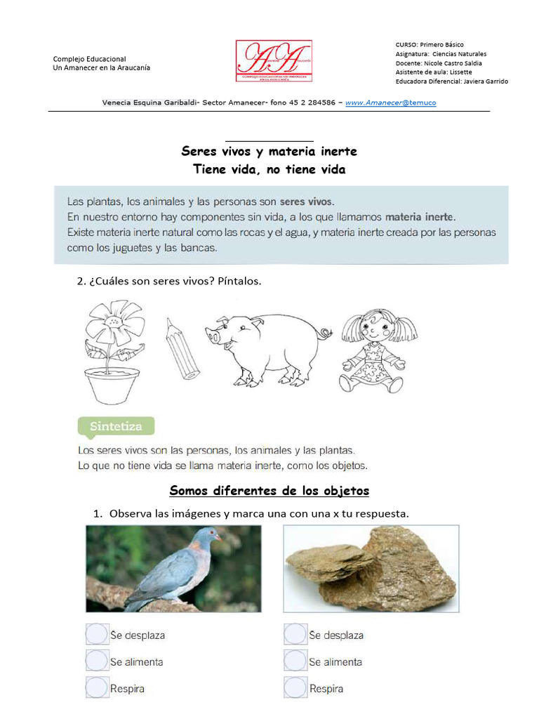 Guía 1 Ciencias Naturales Inerte | PDF