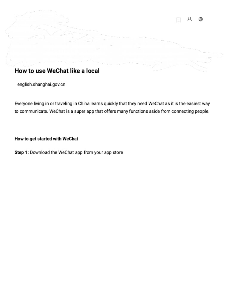 WeChat Usage Guide for Expats | PDF