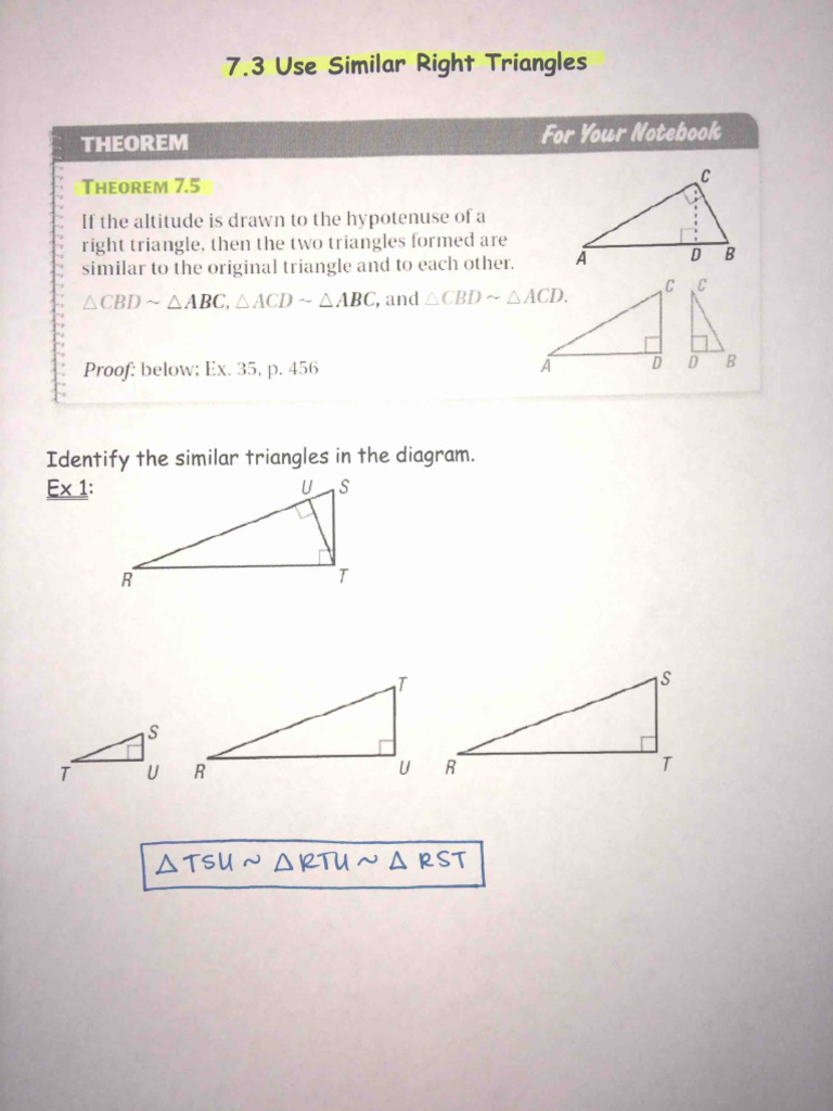 7 3 | PDF