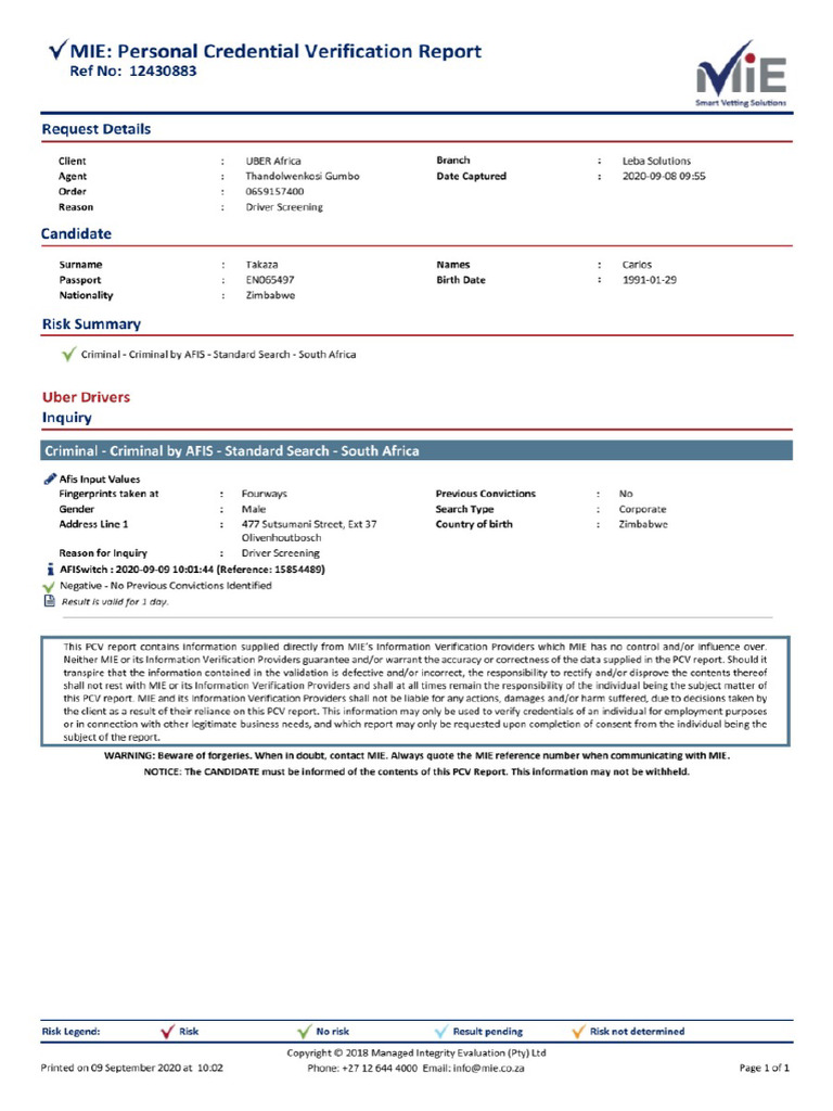MIE Verification Report | PDF