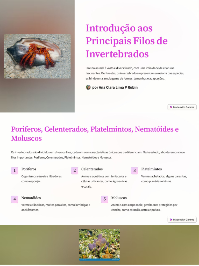 Principais Filos de Invertebrados | PDF | Esponja | Moluscos