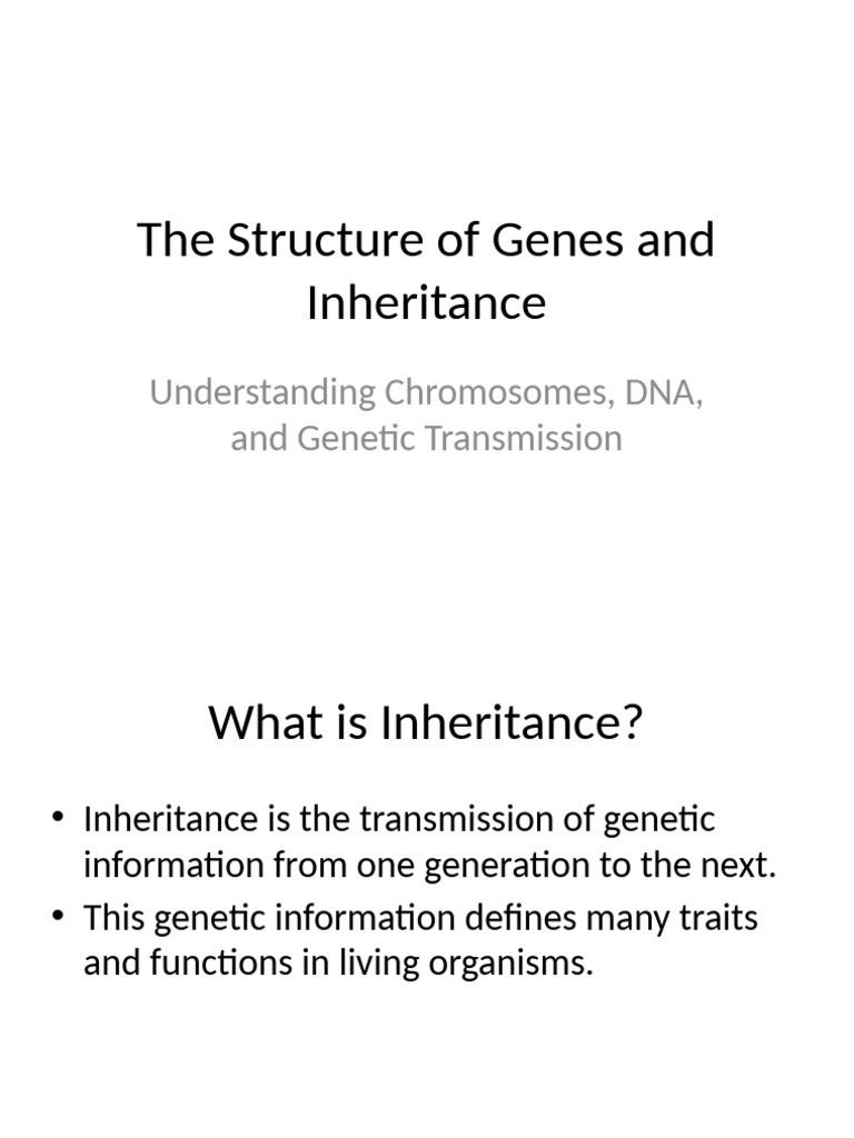 Structure of Genes and Inheritance Presentation | PDF