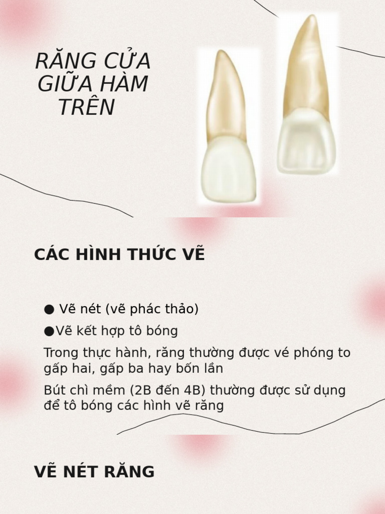 THUYẾT TRÌNH GP RĂNG CỬA GIỮA HÀM TRÊN | PDF