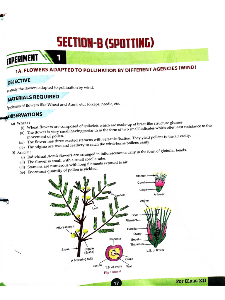 Bio. Section B | PDF