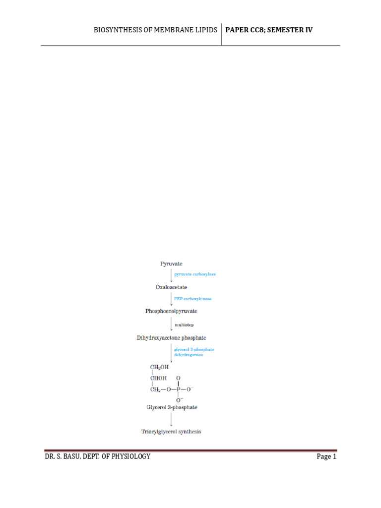 Sem 4 Paper Cc8 Biosynthesis of Membrane Phospholipids | PDF ...