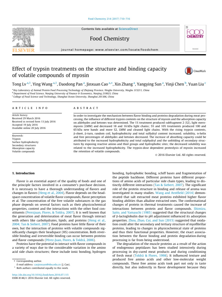 Myosin's Flavor Binding & Trypsin Effects | PDF | Proteins | Proteolysis