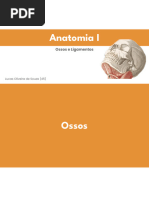 Apostila Osteologia Membro Torácico Equino 2 Pdf Sistema