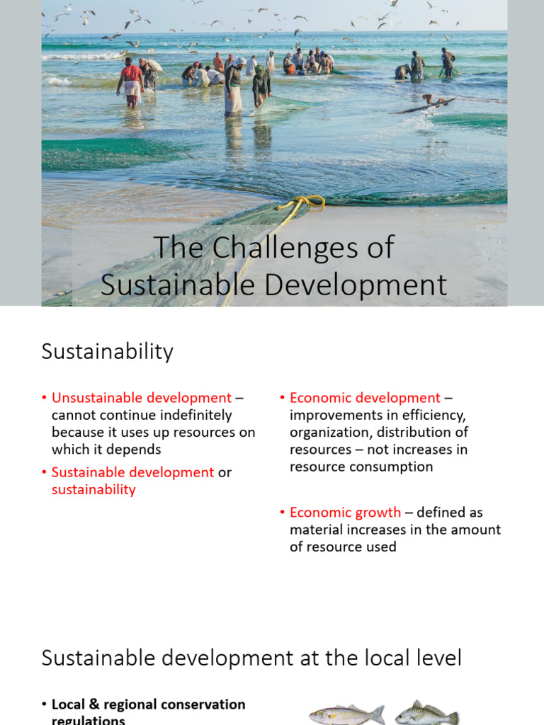 Challenges in Sustainable Development | PDF | Sustainability ...