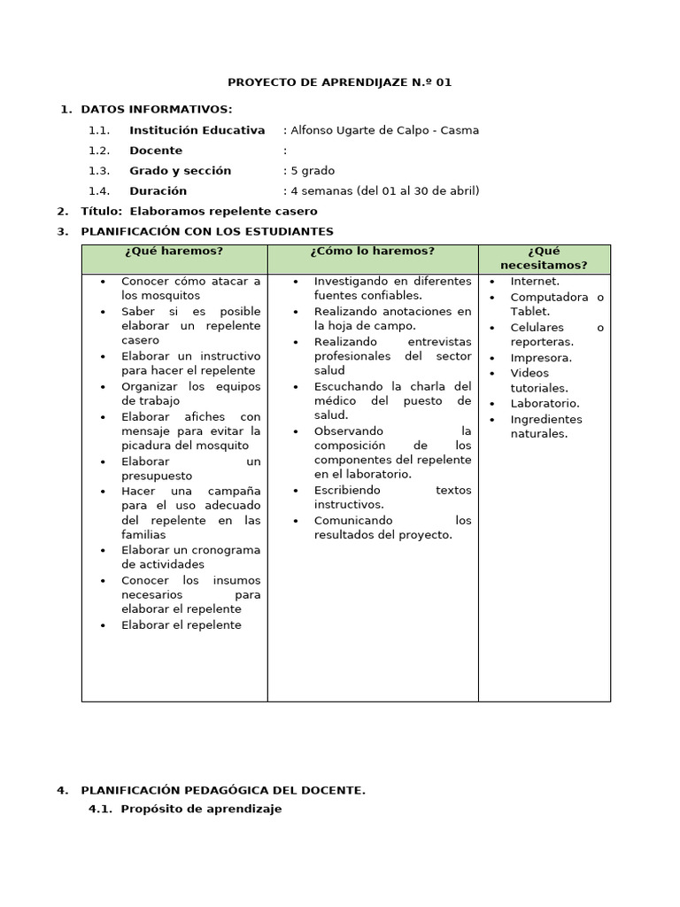 Proyecto de Aprendizaje 2024 | PDF | Evaluación | Presupuesto