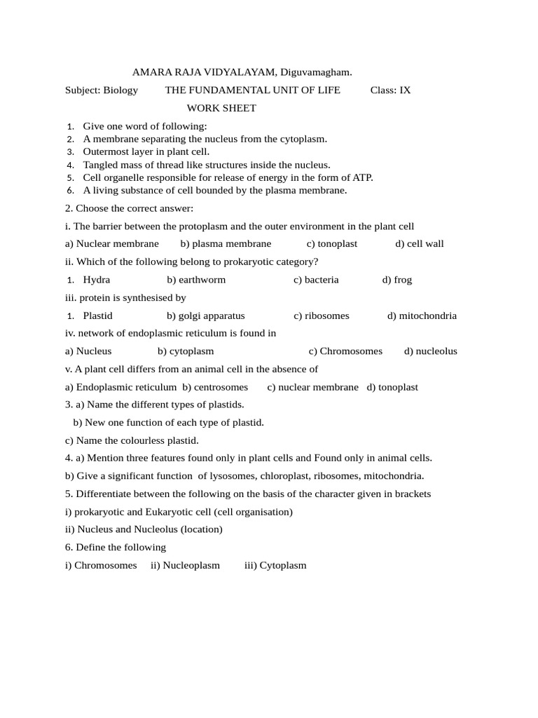 Fundamental Work Sheet - Docx 20241016 153141 0000 | PDF