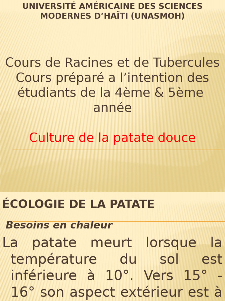 Différences Racines et Tubercules | PDF | Pomme de terre | Patate douce