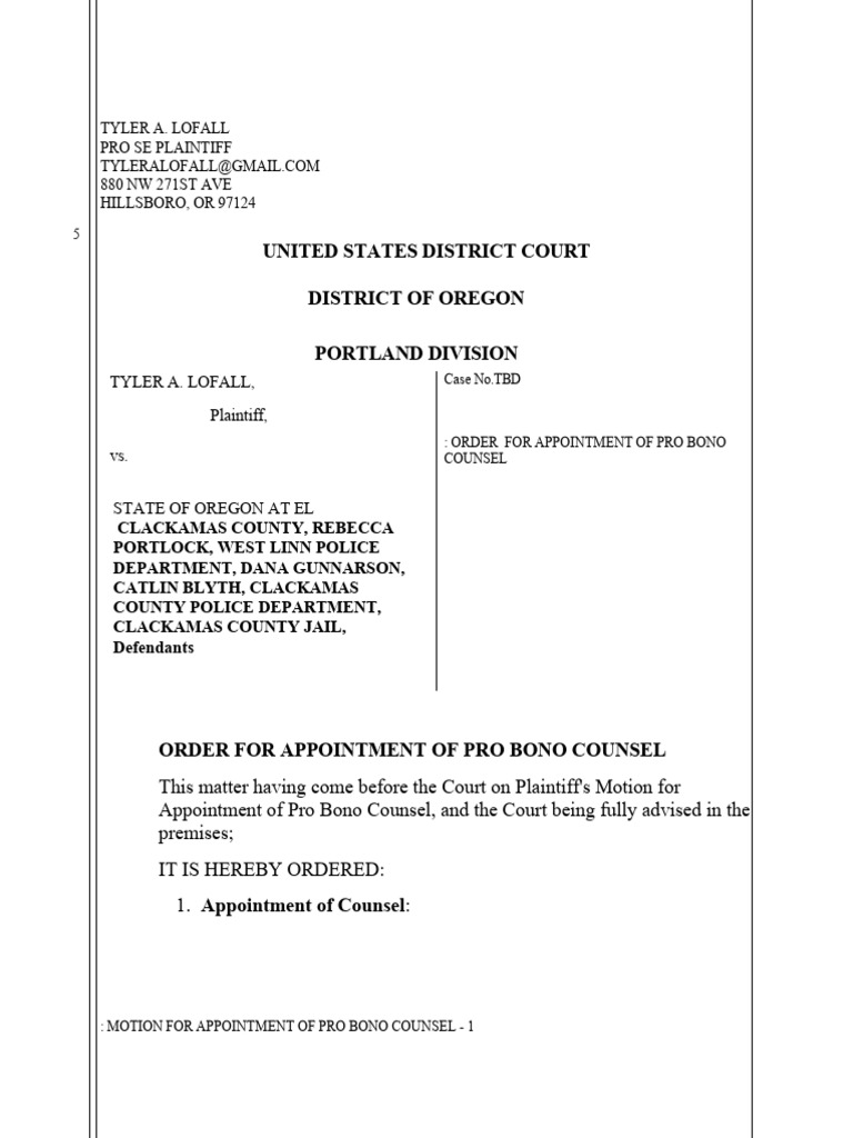 2 2 pro bono order pdf pro se legal representation in the united