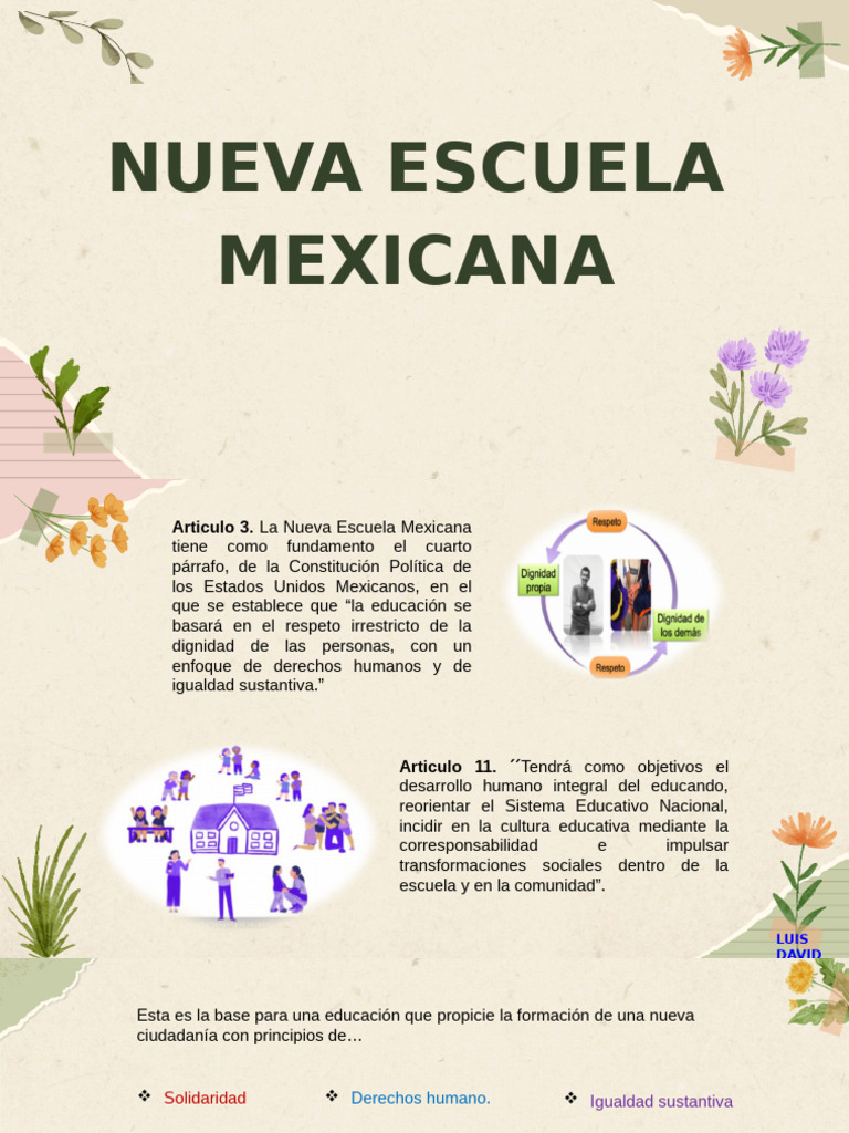 Principios de la Nueva Escuela Mexicana | PDF | Escuelas | Democracia