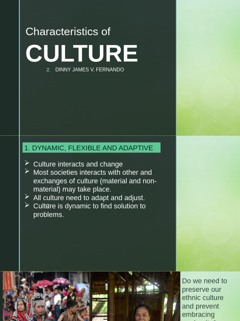 Understanding Cultural Dynamics and Influence | PDF | Gender | Gender ...