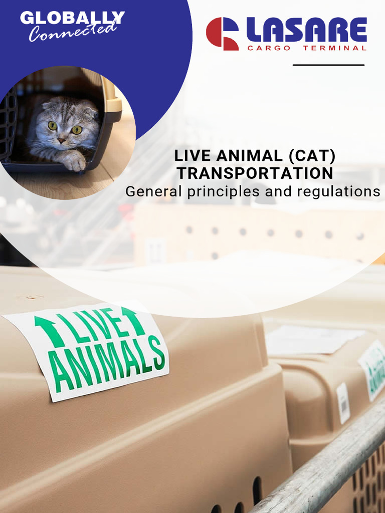 Cat Transportation Guidelines and Regulations | PDF | Customs
