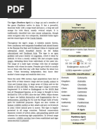 The Tiger General Paper | PDF | Tiger | Leopard