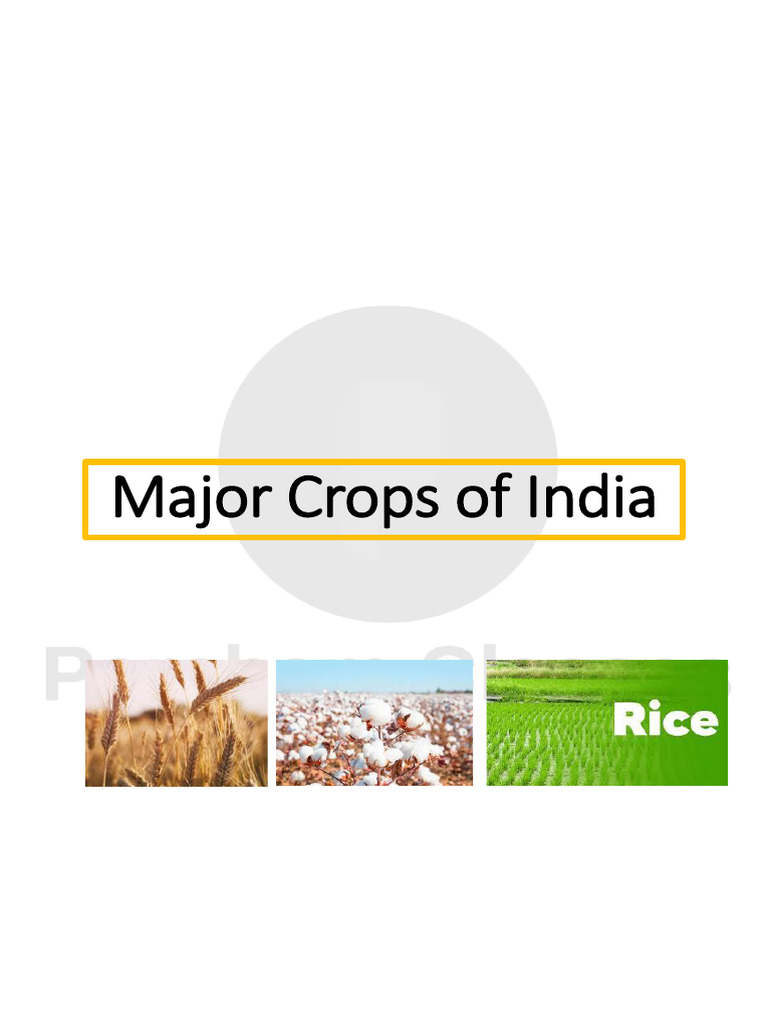Major Crops of India - 6734195 - 2023 - 11 - 28 - 11 - 06 | PDF | Crops ...