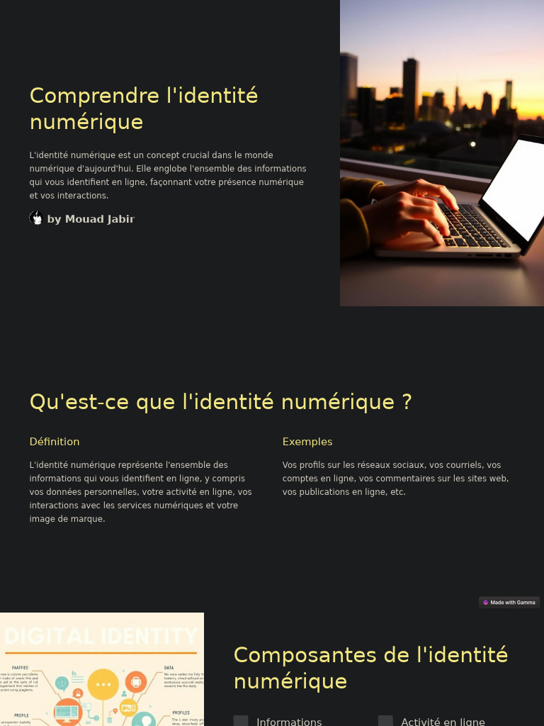 Comprendre l'identité numérique en 2023 | PDF | Études sur la culture ...