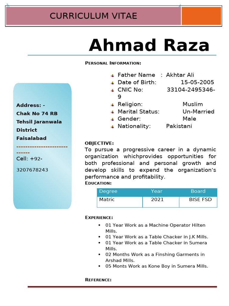 Ahmad Raza's Professional CV | PDF