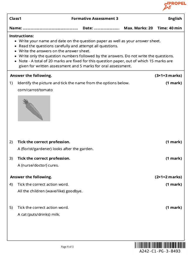 Formative Assessment: English Class 1 | PDF