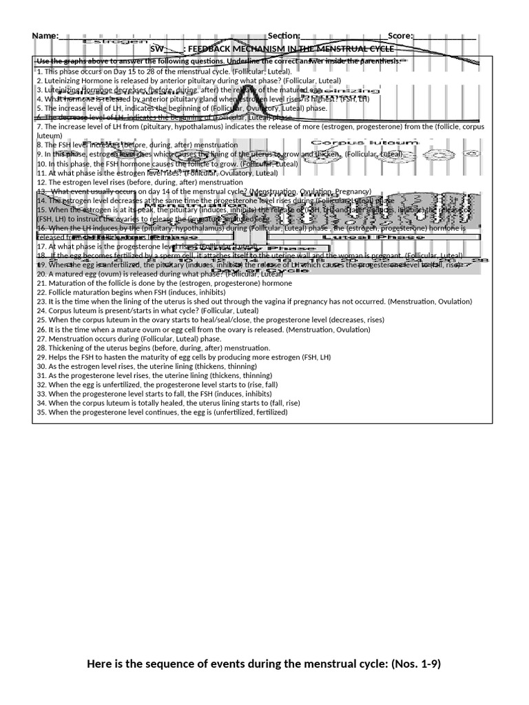 Menstruation-Worksheet-No.-3 (1) | PDF | Menstrual Cycle | Luteinizing ...