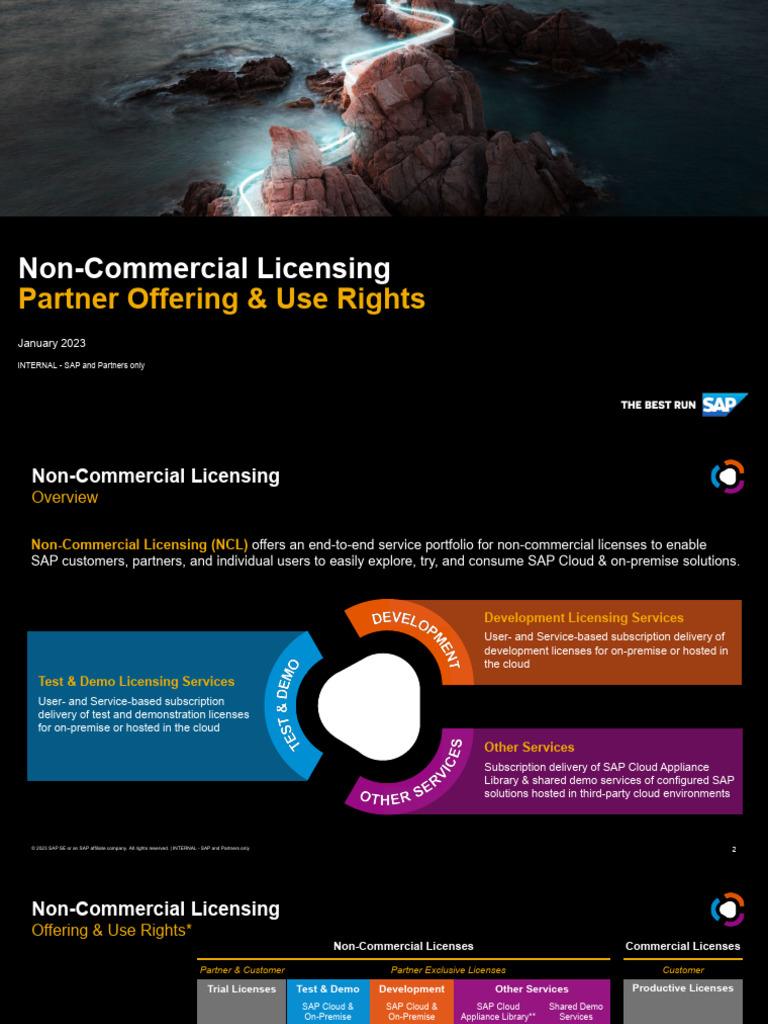 SAP Non-Commercial Licensing Guide | PDF | Cloud Computing | Pricing