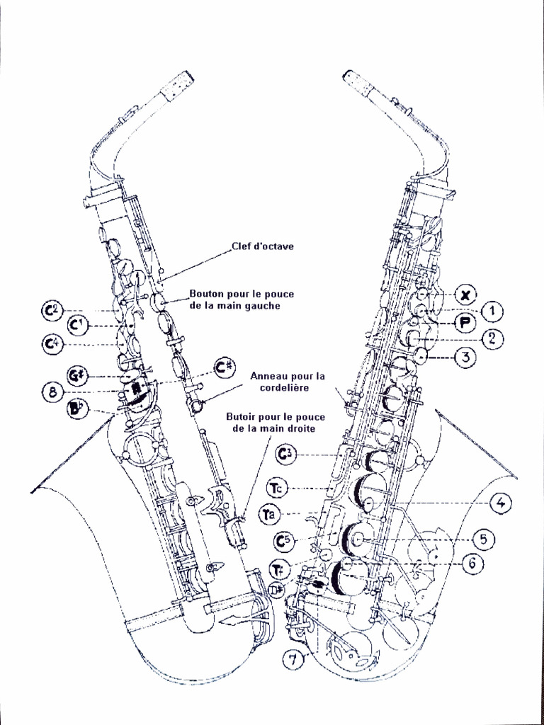 Tableau Clés Sax | PDF
