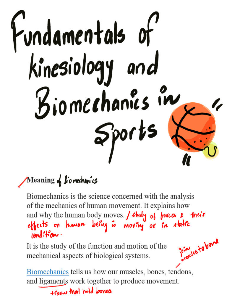 Kinesiology and Biomechanics in Sports | PDF | Anatomical Terms Of ...
