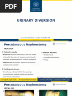 Q-Tip Test for Urethral Mobility | PDF | Urinary Incontinence | Urinary ...